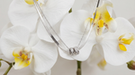 Load image into Gallery viewer, Silver Duo Chain