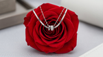 Load image into Gallery viewer, Silver Duo Chain
